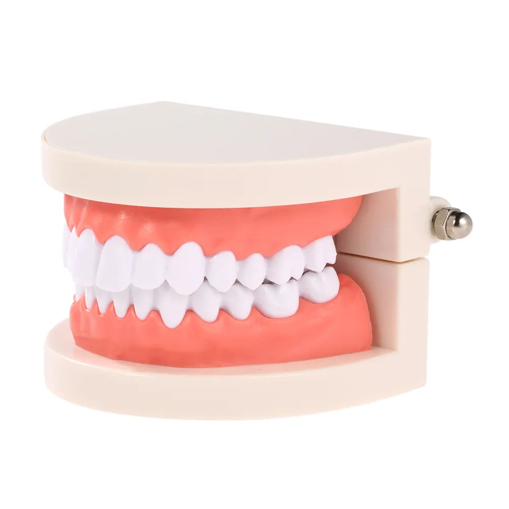 3D printed dental model