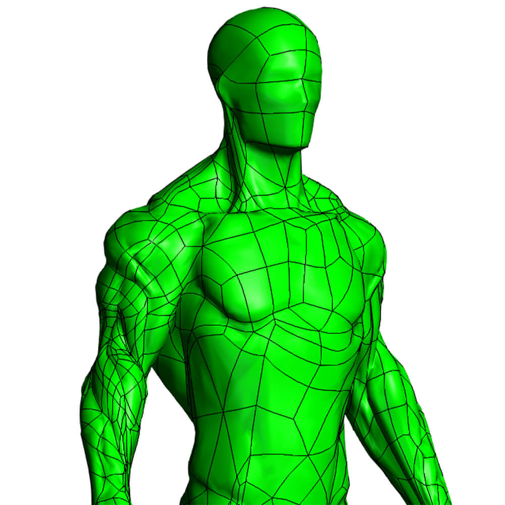 3D design of a human body